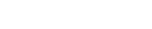 لوگوی FNIRSI